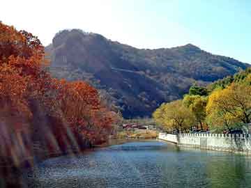 管家婆黑白马报图库，稷山seo外包